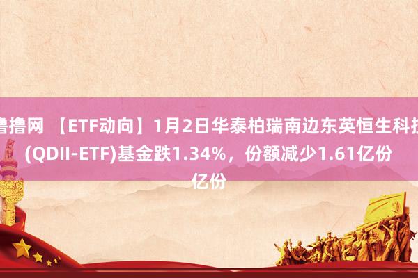 撸撸网 【ETF动向】1月2日华泰柏瑞南边东英恒生科技(QDII-ETF)基金跌1.34%，份额减少1.61亿份
