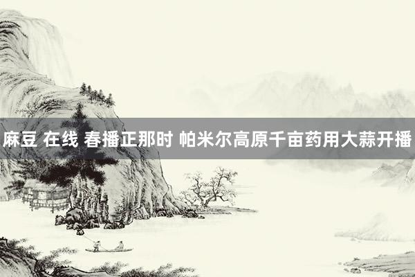 麻豆 在线 春播正那时 帕米尔高原千亩药用大蒜开播
