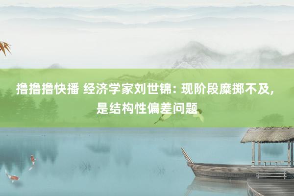 撸撸撸快播 经济学家刘世锦: 现阶段糜掷不及， 是结构性偏差问题
