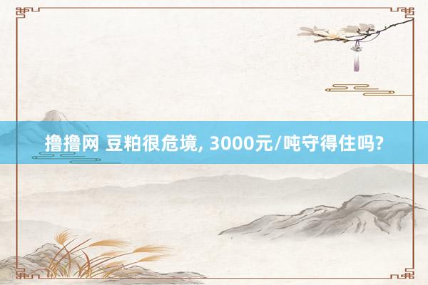 撸撸网 豆粕很危境， 3000元/吨守得住吗?