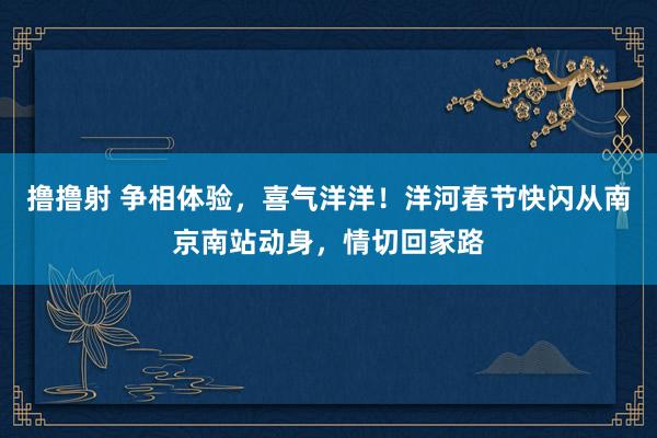 撸撸射 争相体验，喜气洋洋！洋河春节快闪从南京南站动身，情切回家路