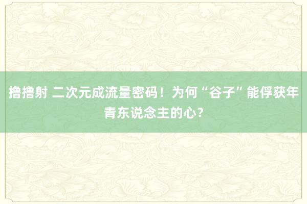 撸撸射 二次元成流量密码！为何“谷子”能俘获年青东说念主的心？