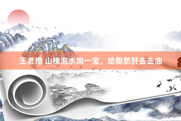 王老撸 山楂泡水加一宝，给脂肪肝去去油