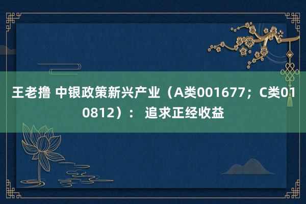王老撸 中银政策新兴产业（A类001677；C类010812）： 追求正经收益