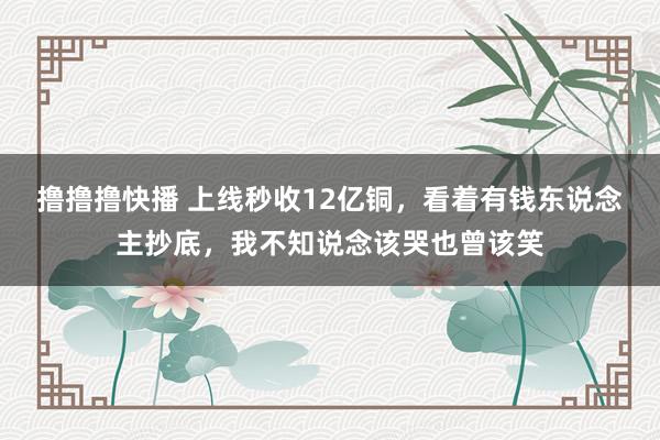 撸撸撸快播 上线秒收12亿铜，看着有钱东说念主抄底，我不知说念该哭也曾该笑