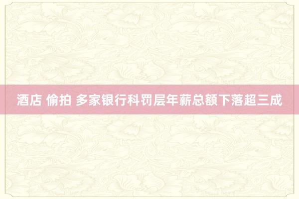 酒店 偷拍 多家银行科罚层年薪总额下落超三成