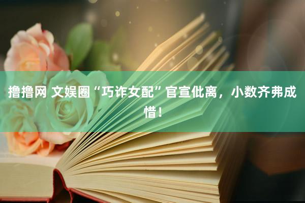 撸撸网 文娱圈“巧诈女配”官宣仳离，小数齐弗成惜！