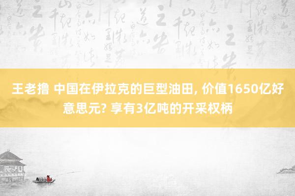 王老撸 中国在伊拉克的巨型油田， 价值1650亿好意思元? 享有3亿吨的开采权柄