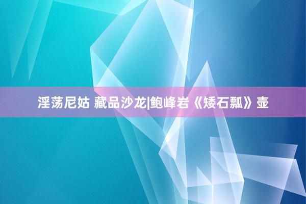 淫荡尼姑 藏品沙龙|鲍峰岩《矮石瓢》壶