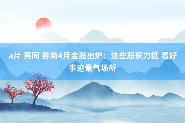 a片 男同 券商4月金股出炉：这些股获力挺 看好事迹景气场所