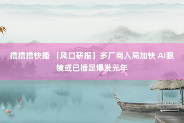 撸撸撸快播 【风口研报】多厂商入局加快 AI眼镜或已插足爆发元年