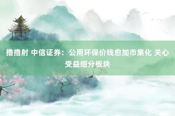 撸撸射 中信证券：公用环保价钱愈加市集化 关心受益细分板块