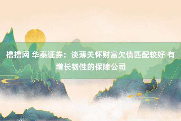 撸撸网 华泰证券：淡薄关怀财富欠债匹配较好 有增长韧性的保障公司