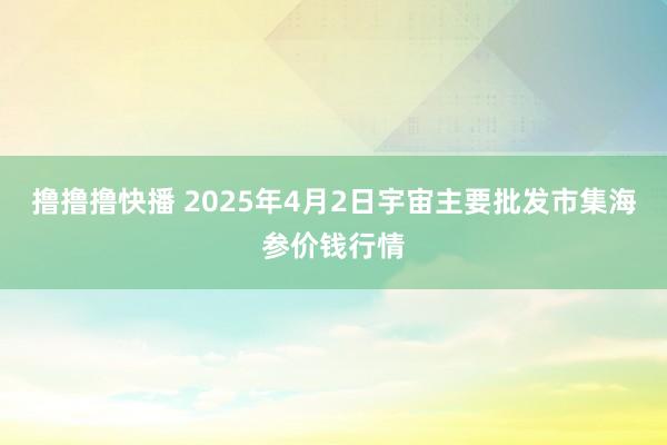 撸撸撸快播 2025年4月2日宇宙主要批发市集海参价钱行情