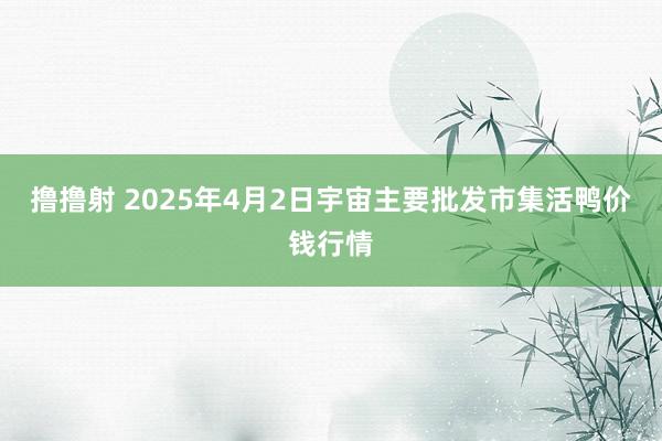 撸撸射 2025年4月2日宇宙主要批发市集活鸭价钱行情