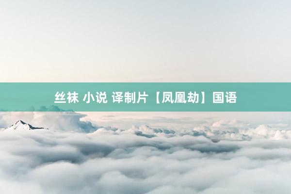 丝袜 小说 译制片【凤凰劫】国语