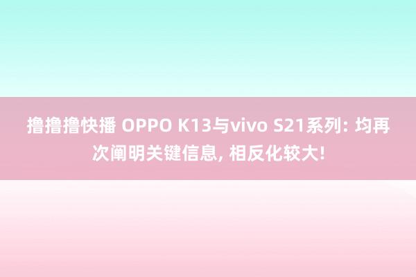 撸撸撸快播 OPPO K13与vivo S21系列: 均再次阐明关键信息， 相反化较大!