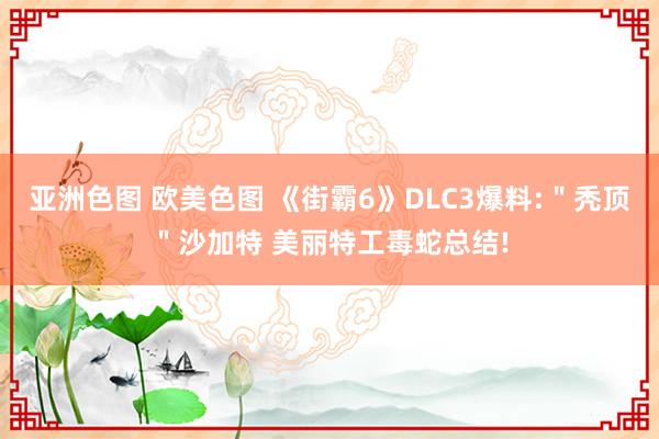 亚洲色图 欧美色图 《街霸6》DLC3爆料:＂秃顶＂沙加特 美丽特工毒蛇总结!