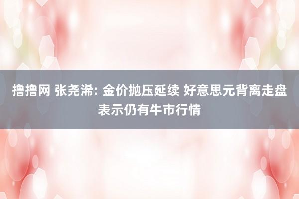 撸撸网 张尧浠: 金价抛压延续 好意思元背离走盘表示仍有牛市行情