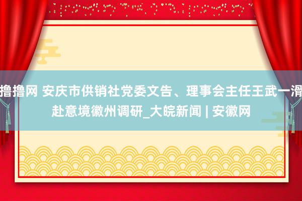 撸撸网 安庆市供销社党委文告、理事会主任王武一滑赴意境徽州调研_大皖新闻 | 安徽网
