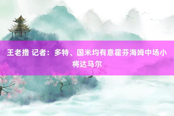 王老撸 记者：多特、国米均有意霍芬海姆中场小将达马尔