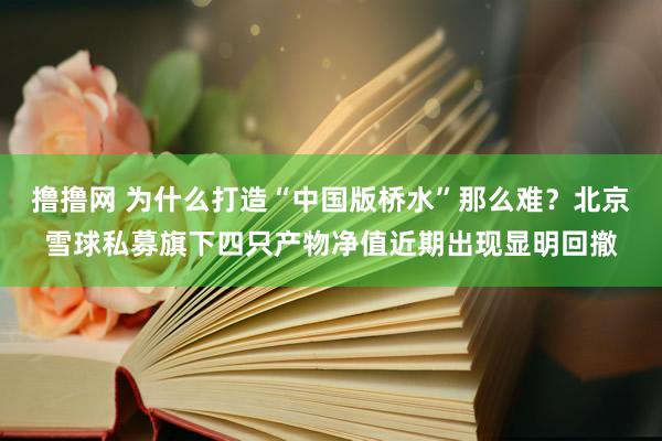 撸撸网 为什么打造“中国版桥水”那么难？北京雪球私募旗下四只产物净值近期出现显明回撤