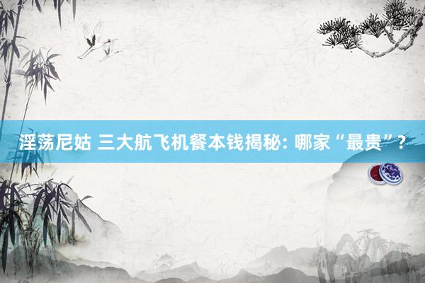 淫荡尼姑 三大航飞机餐本钱揭秘: 哪家“最贵”?