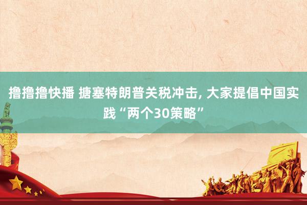 撸撸撸快播 搪塞特朗普关税冲击， 大家提倡中国实践“两个30策略”