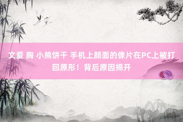 文爱 胸 小熊饼干 手机上颜面的像片在PC上被打回原形！背后原因揭开