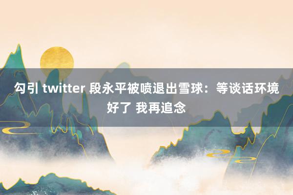 勾引 twitter 段永平被喷退出雪球：等谈话环境好了 我再追念