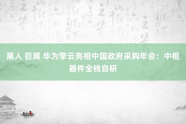 黑人 巨屌 华为擎云亮相中国政府采购年会：中枢器件全栈自研