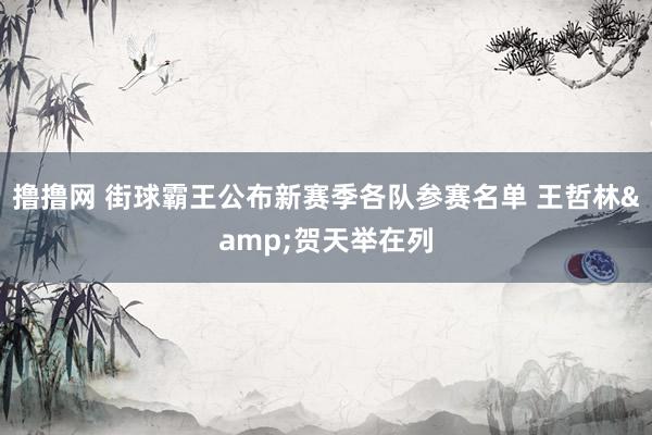 撸撸网 街球霸王公布新赛季各队参赛名单 王哲林&贺天举在列