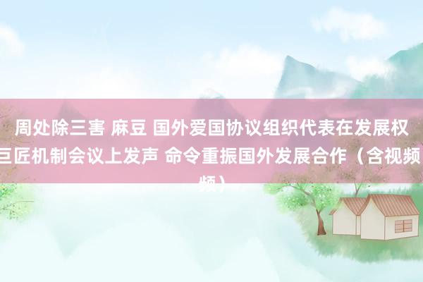 周处除三害 麻豆 国外爱国协议组织代表在发展权巨匠机制会议上发声 命令重振国外发展合作（含视频）