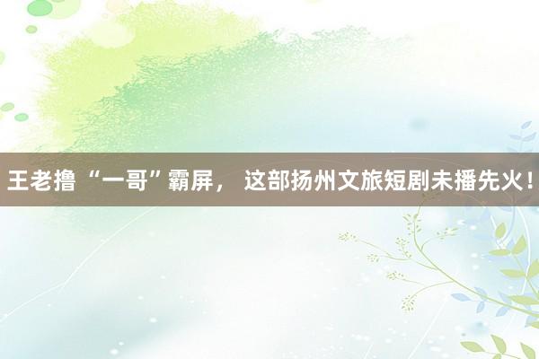 王老撸 “一哥”霸屏， 这部扬州文旅短剧未播先火！