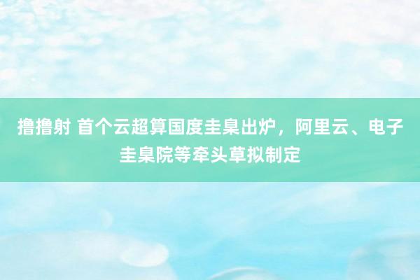 撸撸射 首个云超算国度圭臬出炉，阿里云、电子圭臬院等牵头草拟制定