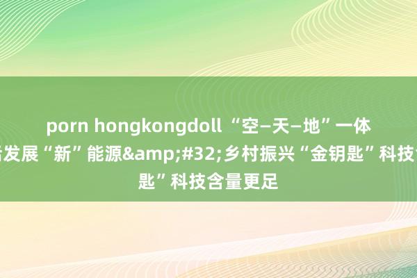 porn hongkongdoll “空—天—地”一体就业激活发展“新”能源&#32;乡村振兴“金钥匙”科技含量更足