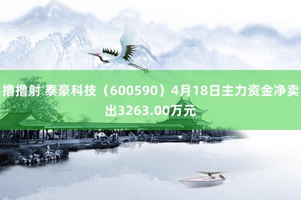 撸撸射 泰豪科技（600590）4月18日主力资金净卖出3263.00万元