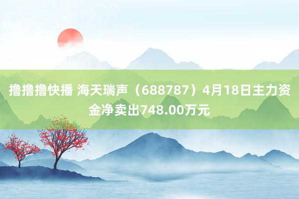 撸撸撸快播 海天瑞声（688787）4月18日主力资金净卖出748.00万元
