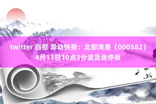 twitter 自慰 异动快报：北部湾港（000582）4月11日10点3分波及涨停板