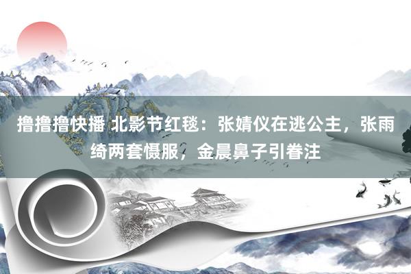 撸撸撸快播 北影节红毯：张婧仪在逃公主，张雨绮两套慑服，金晨鼻子引眷注