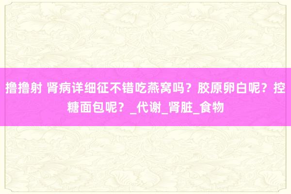 撸撸射 肾病详细征不错吃燕窝吗？胶原卵白呢？控糖面包呢？_代谢_肾脏_食物