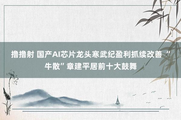 撸撸射 国产AI芯片龙头寒武纪盈利抓续改善 “牛散”章建平居前十大鼓舞
