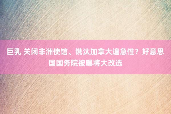巨乳 关闭非洲使馆、镌汰加拿大遑急性？好意思国国务院被曝将大改选