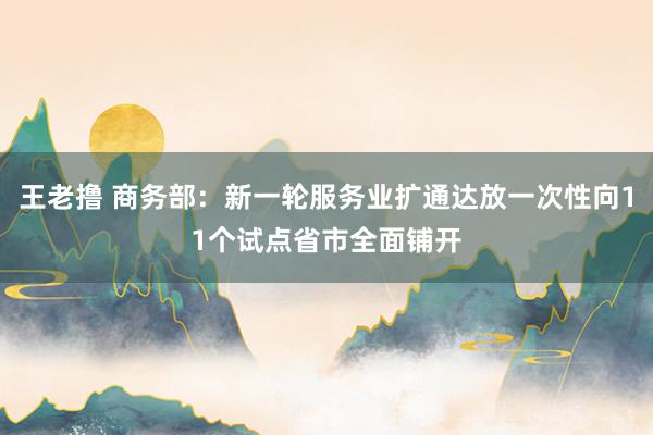 王老撸 商务部：新一轮服务业扩通达放一次性向11个试点省市全面铺开