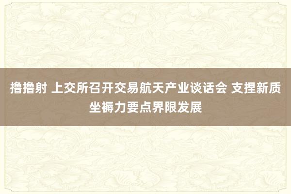 撸撸射 上交所召开交易航天产业谈话会 支捏新质坐褥力要点界限发展