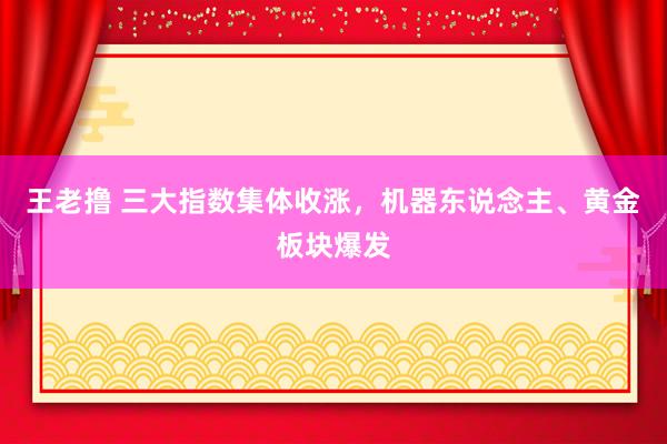 王老撸 三大指数集体收涨，机器东说念主、黄金板块爆发