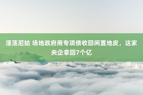 淫荡尼姑 场地政府用专项债收回闲置地皮，这家央企拿回7个亿