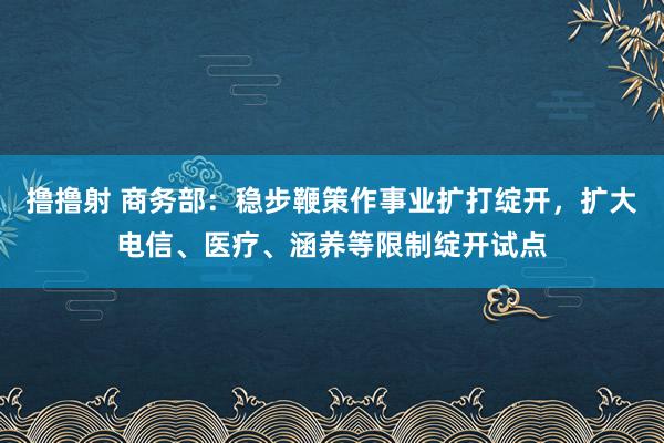 撸撸射 商务部：稳步鞭策作事业扩打绽开，扩大电信、医疗、涵养等限制绽开试点