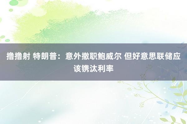撸撸射 特朗普：意外撤职鲍威尔 但好意思联储应该镌汰利率