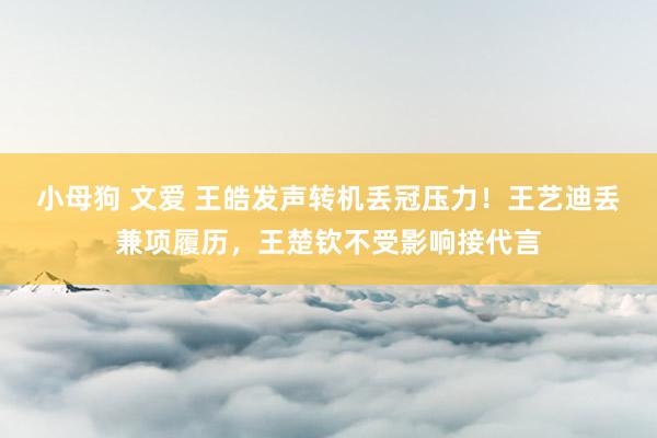 小母狗 文爱 王皓发声转机丢冠压力！王艺迪丢兼项履历，王楚钦不受影响接代言